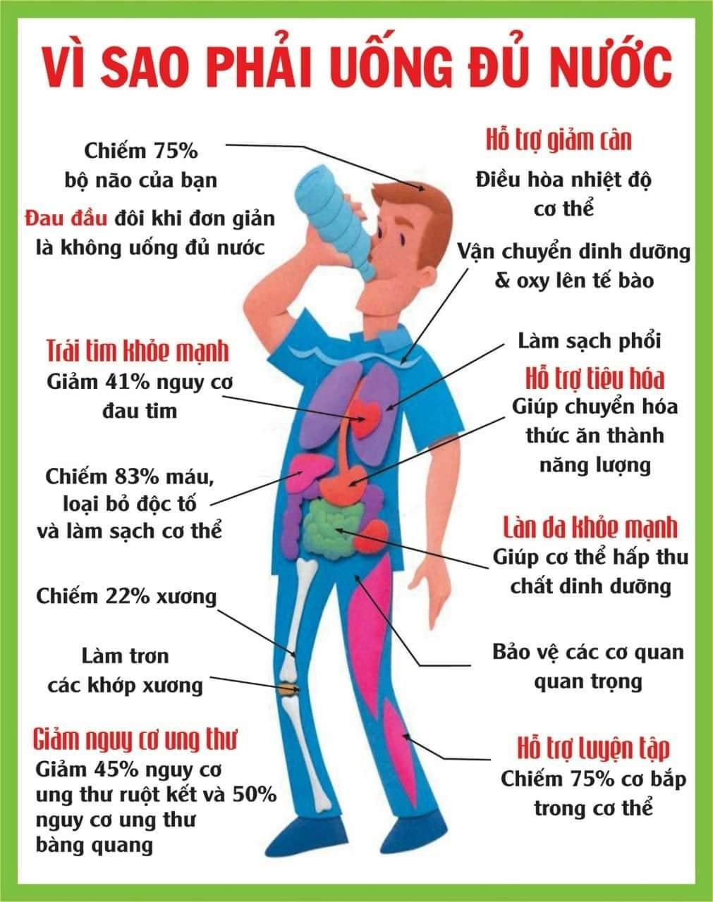 Lợi ích nước đối với cơ thể